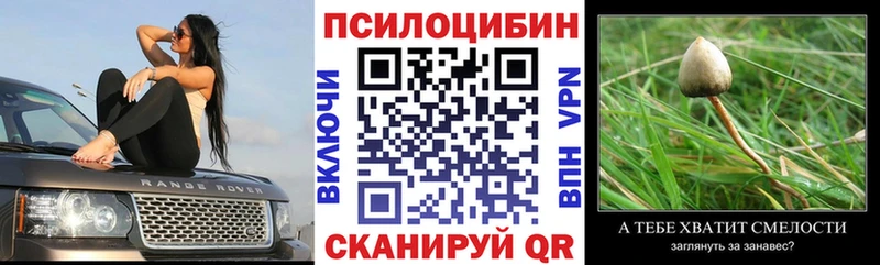 Купить где  Михайловка  Галлюциногенные грибы Psilocybe 