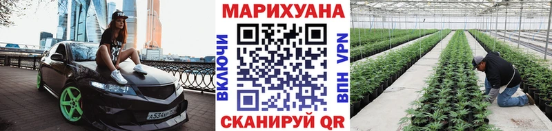 Бошки Шишки SATIVA & INDICA  Купить закладки  Михайловка 